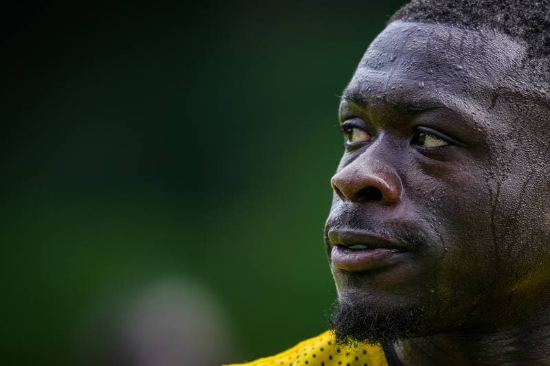 Football. Netherlands. Training. 31.05.2026