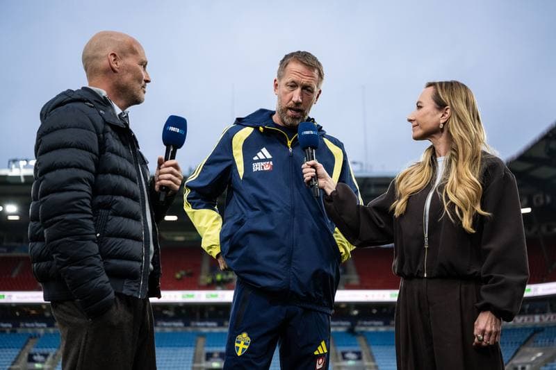 Football. International Friendly. Norway - Sweden. 01.06.2026