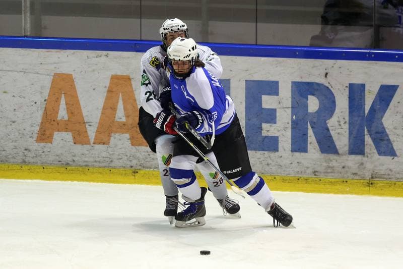 Ice Hockey. PLHK. Naprzod Janow - Stoczniowiec Gdansk. 07.10.2017