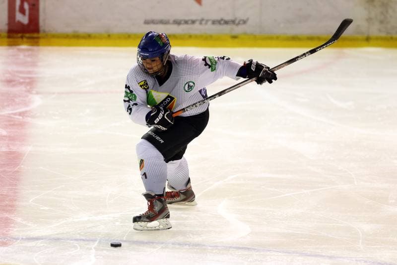 Ice Hockey. PLHK. Naprzod Janow - Stoczniowiec Gdansk. 07.10.2017