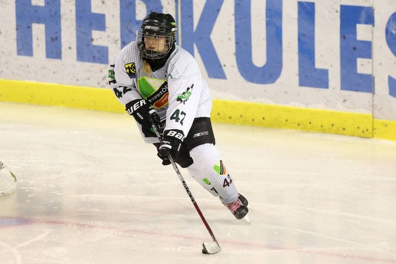 Ice Hockey. PLHK. Naprzod Janow - Stoczniowiec Gdansk. 07.10.2017