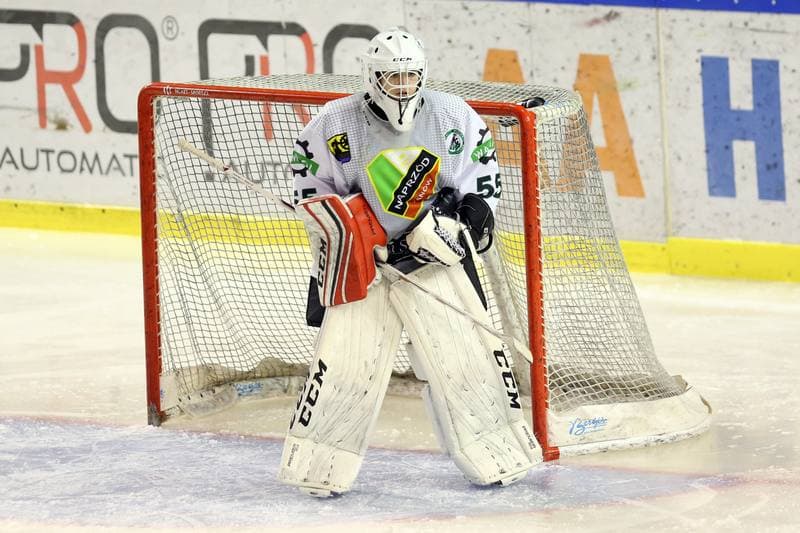 Ice Hockey. PLHK. Naprzod Janow - Stoczniowiec Gdansk. 07.10.2017
