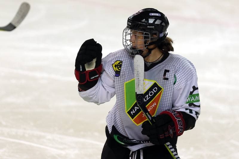 Ice Hockey. PLHK. Naprzod Janow - Stoczniowiec Gdansk. 07.10.2017