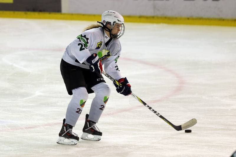 Ice Hockey. PLHK. Naprzod Janow - Stoczniowiec Gdansk. 07.10.2017