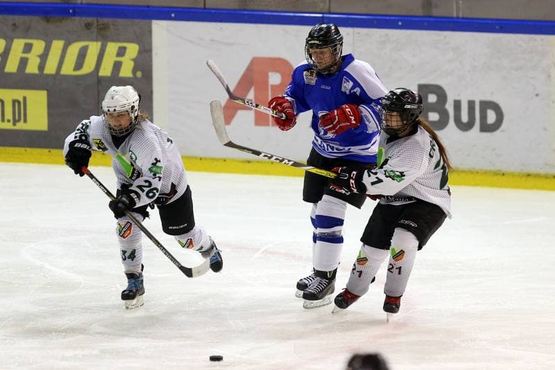 Ice Hockey. PLHK. Naprzod Janow - Stoczniowiec Gdansk. 07.10.2017