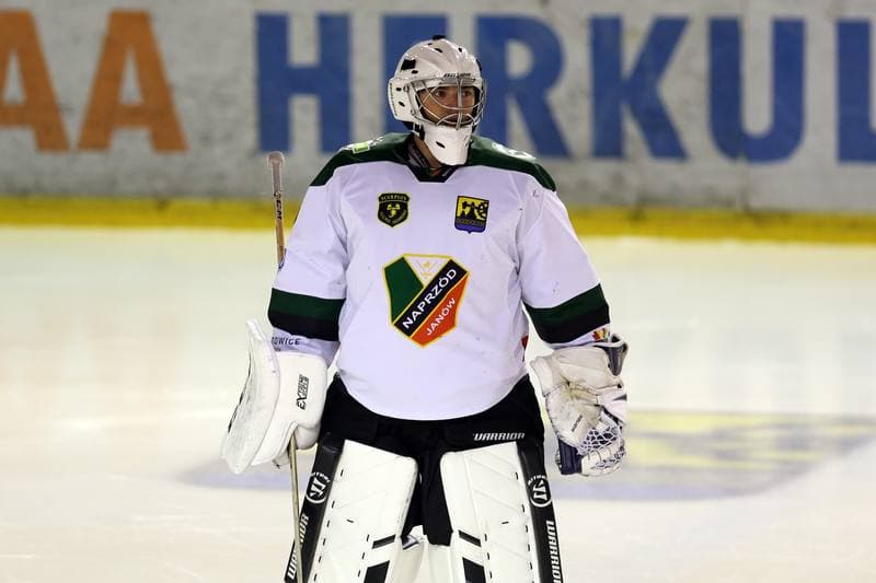 Ice Hockey. Polska Hokej Liga. Naprzod Janow - SMS PZHL Katowice. 09.10.2017