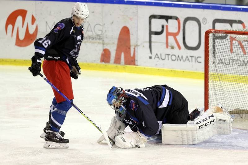 Ice Hockey. Polska Hokej Liga. Naprzod Janow - SMS PZHL Katowice. 09.10.2017