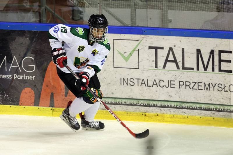 Ice Hockey. Polska Hokej Liga. Naprzod Janow - SMS PZHL Katowice. 09.10.2017