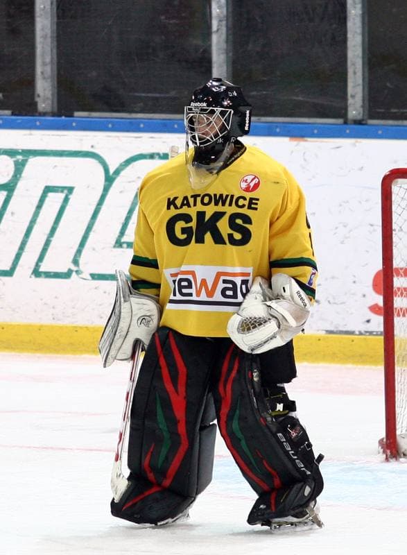 Ice Hockey. Polska Hokej Liga. HC GKS Katowice - Orlik Opole. 30.12.2014