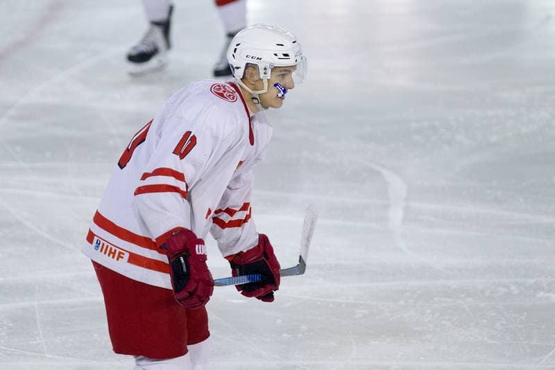 Ice Hockey. Sparing. Zaglebie Sosnowiec - Poland U20. 09.08.2019