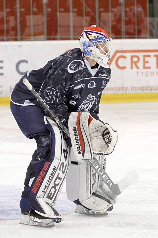 Ice Hockey. Polska Hokej Liga. GKS Tychy - Automatyka Gdansk. 16.02.2019