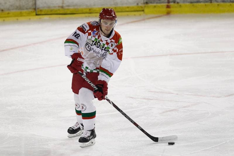 Ice Hockey. Polska Hokej Liga. Zaglebie Sosnowiec - Orlik Opole. 17.02.2019