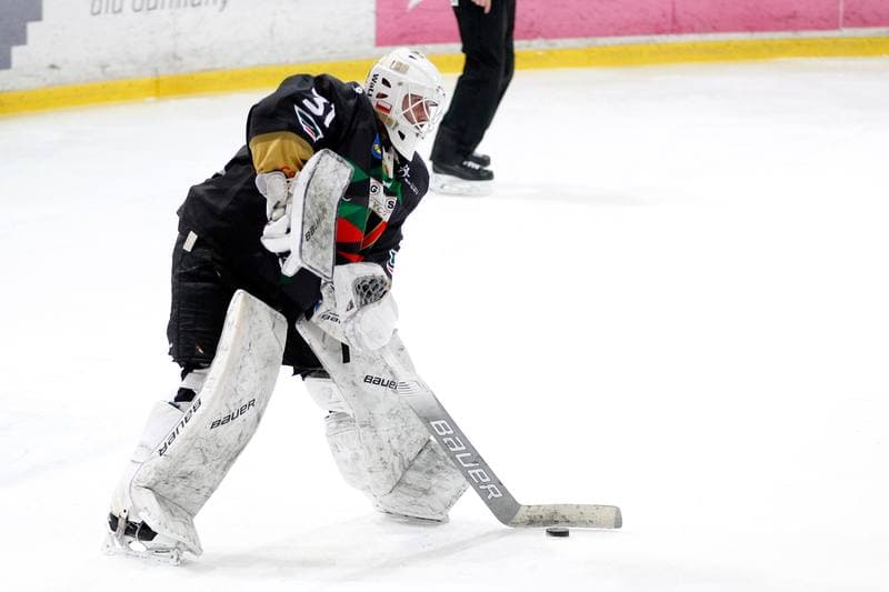 Ice Hockey. Tauron Hokej Liga. Tauron KH GKS Katowice - GKS Tychy. 25.01.2019
