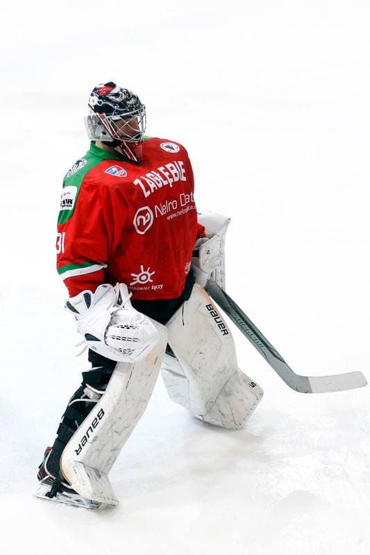 Ice Hockey. Tauron Hokej Liga. Tauron KH GKS Katowice - Zaglebie Sosnowiec. 27.01.2019