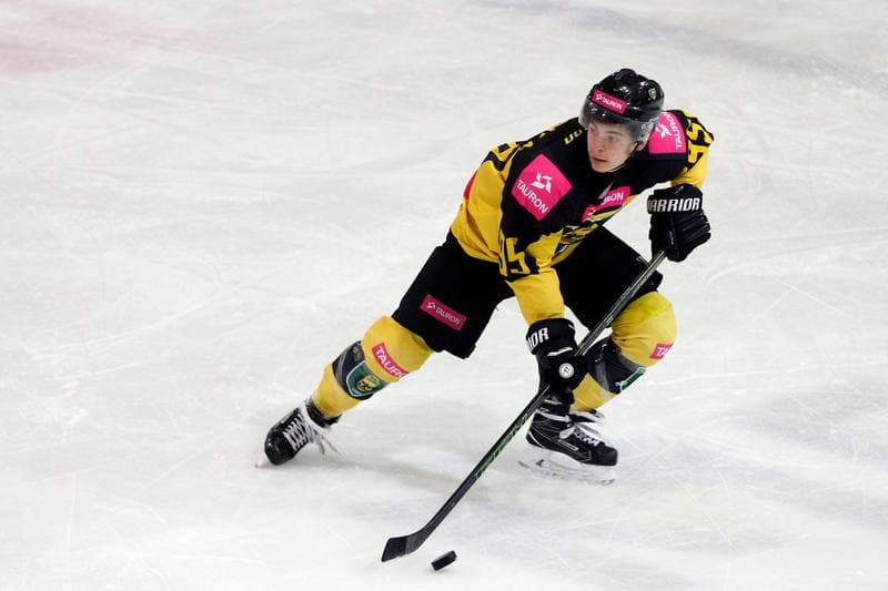 Ice Hockey. Polska Hokej Liga. Tauron KH GKS Katowice - TatrySki Podhale Nowy Targ. 20.01.2019
