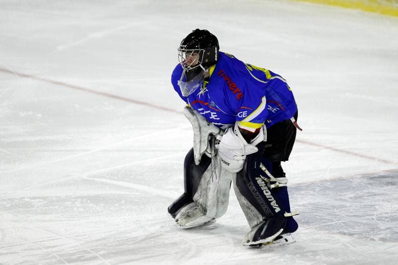 Ice Hockey. Polska Hokej Liga. Zaglebie Sosnowiec - Orlik Opole. 17.02.2019