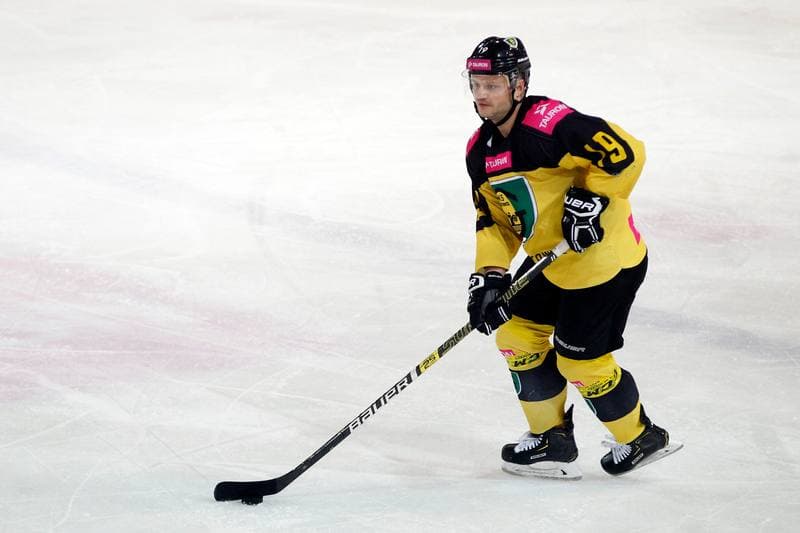 Ice Hockey. Polska Hokej Liga. Tauron KH GKS Katowice - TatrySki Podhale Nowy Targ. 20.01.2019
