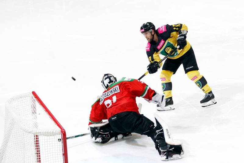 Ice Hockey. Tauron Hokej Liga. Tauron KH GKS Katowice - Zaglebie Sosnowiec. 27.01.2019