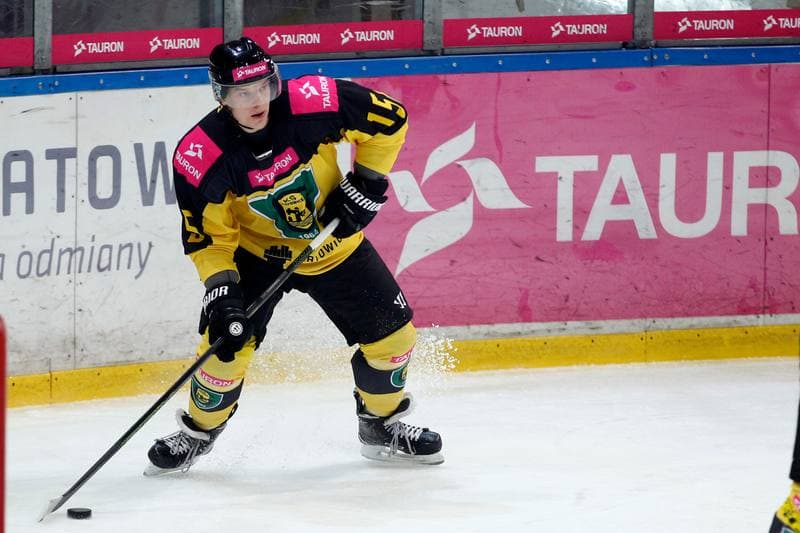 Ice Hockey. Polska Hokej Liga. Tauron KH GKS Katowice - TatrySki Podhale Nowy Targ. 20.01.2019
