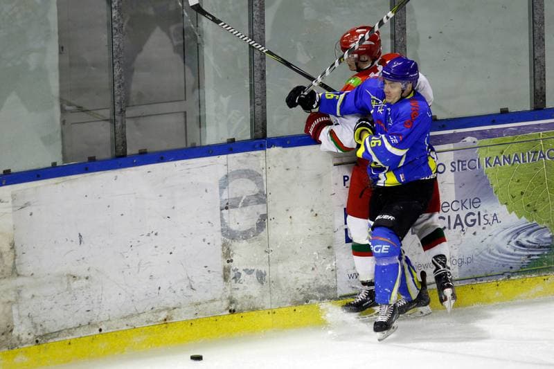 Ice Hockey. Polska Hokej Liga. Zaglebie Sosnowiec - Orlik Opole. 17.02.2019