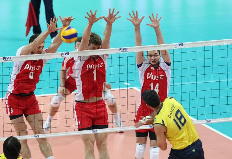 Volleyball. World League. Poland - Brazil. 29.06.2011