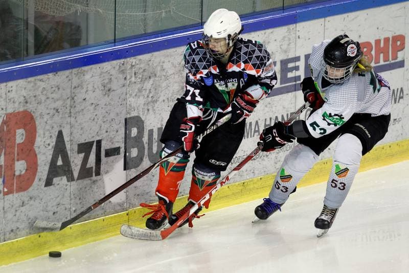 Ice Hockey. PLHK. Naprzod Janow - Atomowki Tychy. 03.02.2018