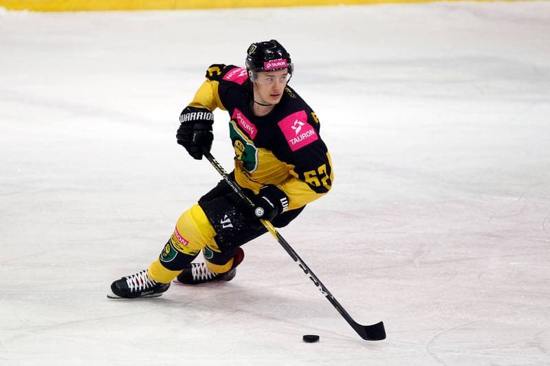 Ice Hockey. Polska Hokej Liga. Tauron KH GKS Katowice - TatrySki Podhale Nowy Targ. 20.01.2019