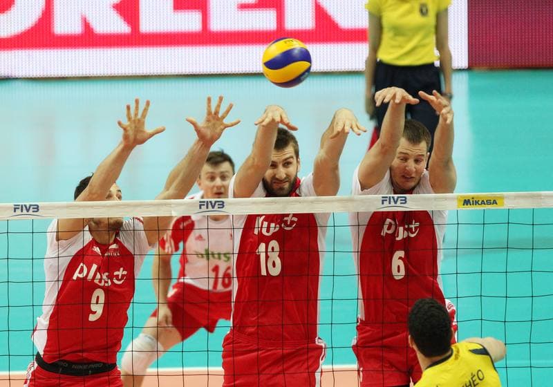 Volleyball. World League. Poland - Brazil. 29.06.2011