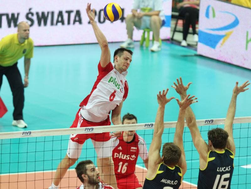 Volleyball. World League. Poland - Brazil. 29.06.2011