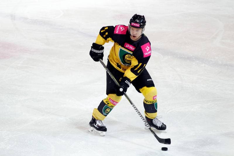Ice Hockey. Polska Hokej Liga. Tauron KH GKS Katowice - TatrySki Podhale Nowy Targ. 20.01.2019