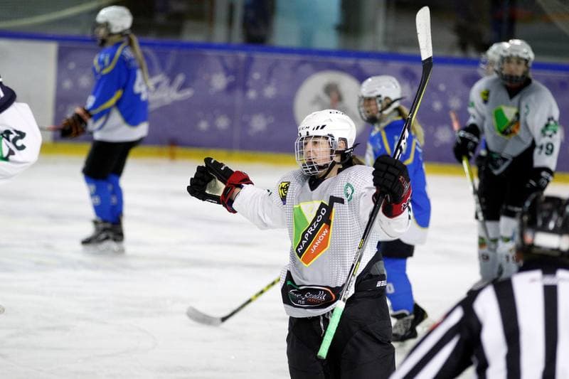 Ice Hockey. PLHK. Naprzod Janow - Unia Oswiecim. 20.01.2018