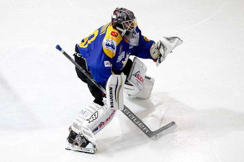 Ice Hockey. Polska Hokej Liga. Tauron KH GKS Katowice - TatrySki Podhale Nowy Targ. 20.01.2019