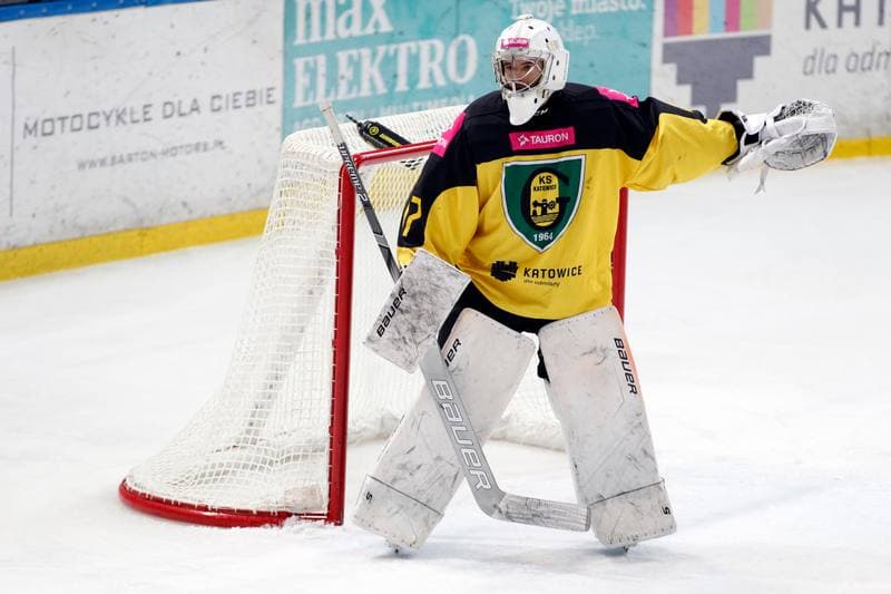Ice Hockey. Tauron Hokej Liga. Tauron KH GKS Katowice - Zaglebie Sosnowiec. 27.01.2019