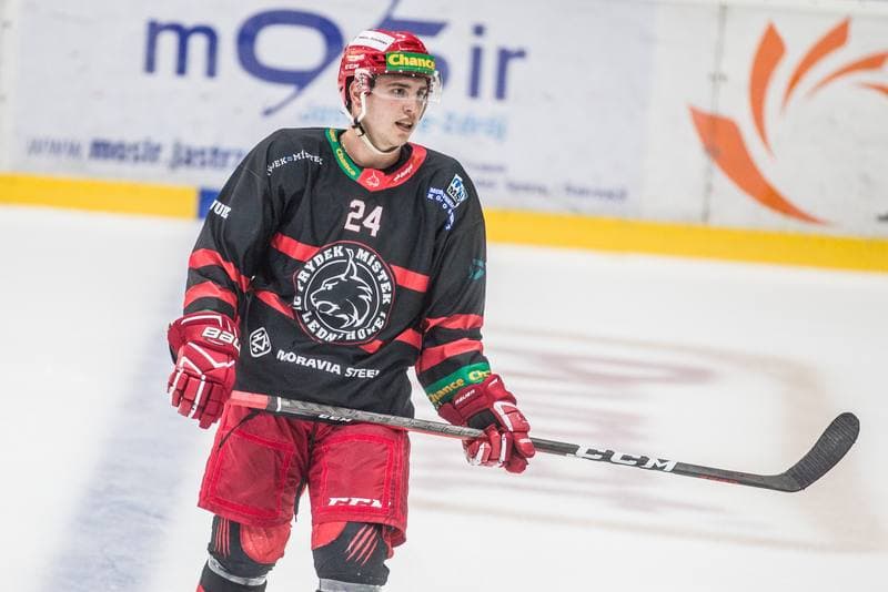 Ice Hockey. Sparing. JKH GKS Jastrzebie - HC Frydek Mistek. 29.07.2021