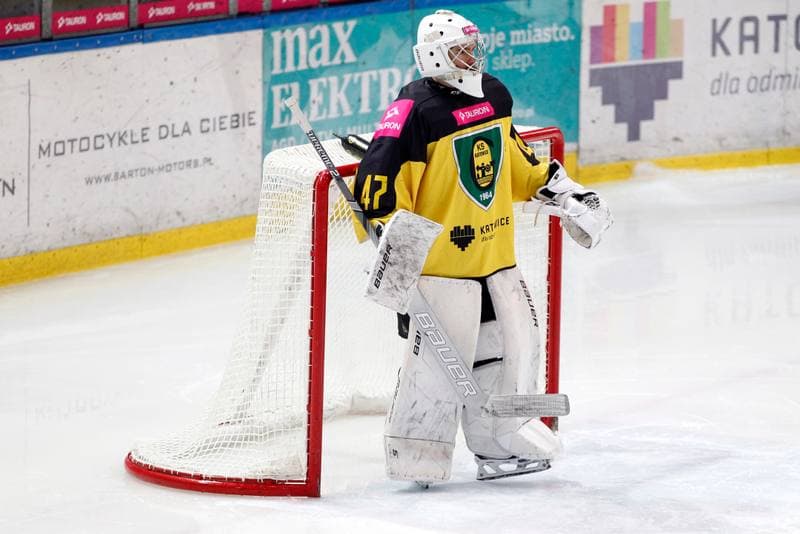 Ice Hockey. Tauron Hokej Liga. Tauron KH GKS Katowice - Zaglebie Sosnowiec. 27.01.2019