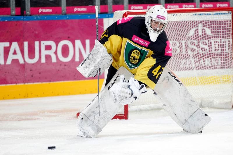 Ice Hockey. Tauron Hokej Liga. Tauron KH GKS Katowice - GKS Tychy. 25.01.2019