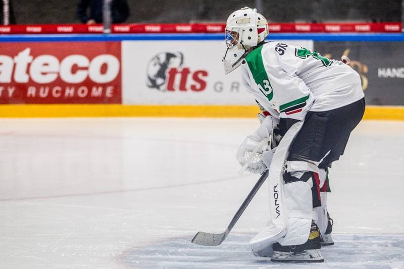 Ice Hockey. Sparing. GKS Tychy - Zaglebie Sosnowiec. 05.08.2021