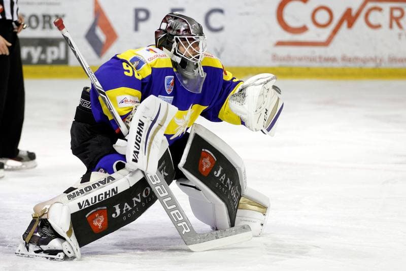 Ice Hockey. Polska Hokej Liga. GKS Tychy - TatrySKI Podhale Nowy Targ. 30.01.2018