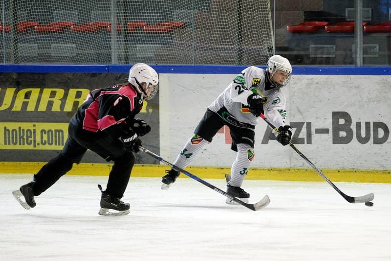 Ice Hockey. PLHK. Naprzod Janow - Kozice Poznan. 11.02.2018
