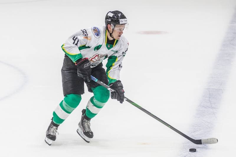 Ice Hockey. Sparing. JKH GKS Jastrzebie - HC Frydek Mistek. 29.07.2021