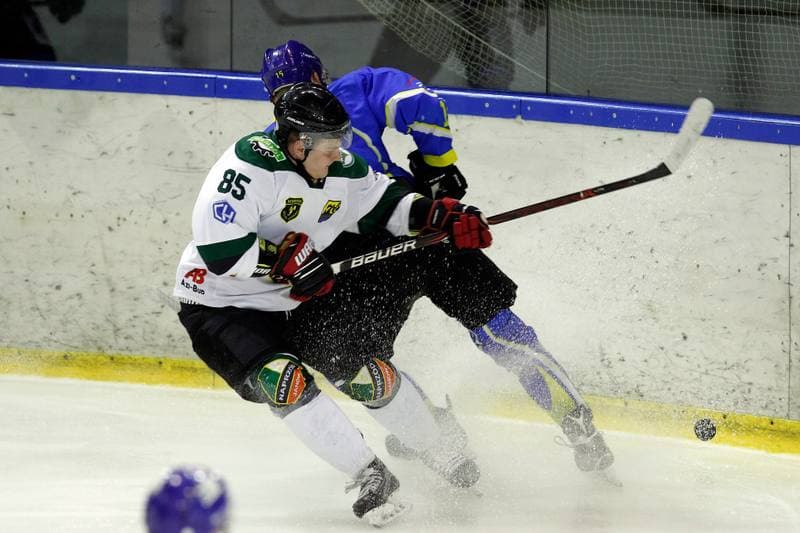 Ice Hockey. Polska Hokej Liga. Naprzod Janow - Orlik Opole. 01.03.2019