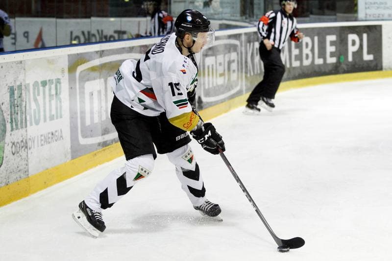 Ice Hockey. Polska Hokej Liga. GKS Tychy - Automatyka Gdansk. 16.02.2019