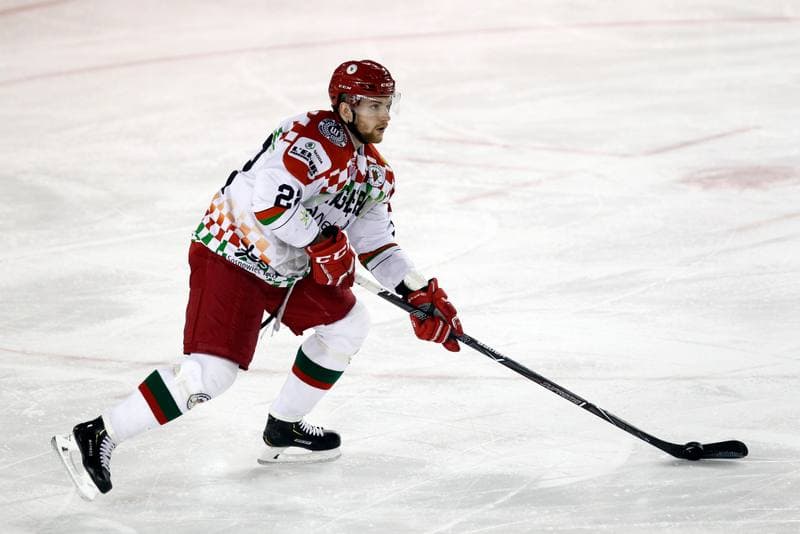 Ice Hockey. Polska Hokej Liga. Zaglebie Sosnowiec - Orlik Opole. 17.02.2019