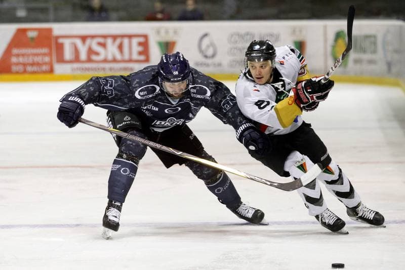 Ice Hockey. Polska Hokej Liga. GKS Tychy - Automatyka Gdansk. 16.02.2019