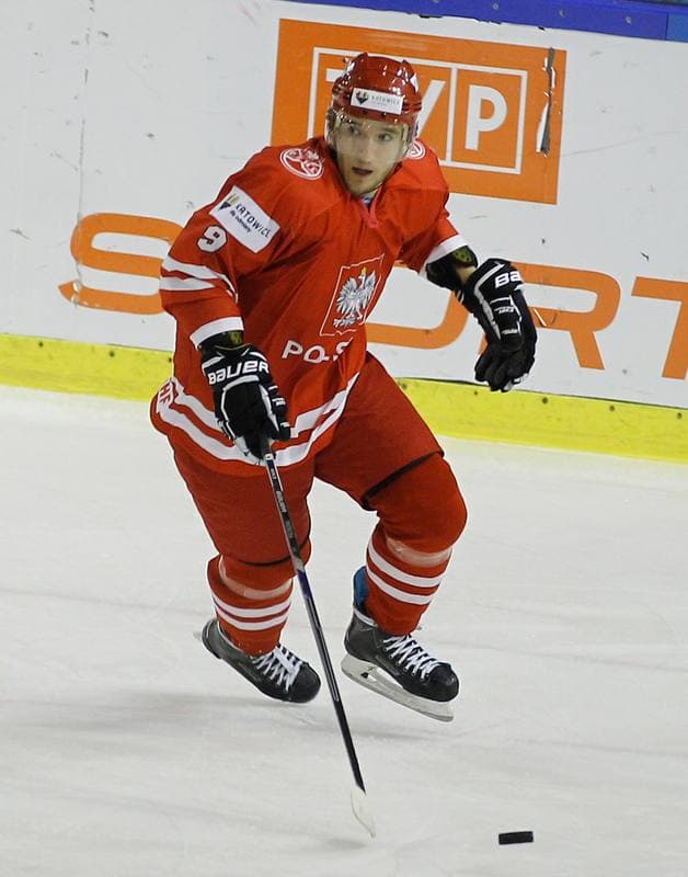 Ice Hockey. Euro Ice Hockey Challenge. Poland - Austria. 07.11.2015