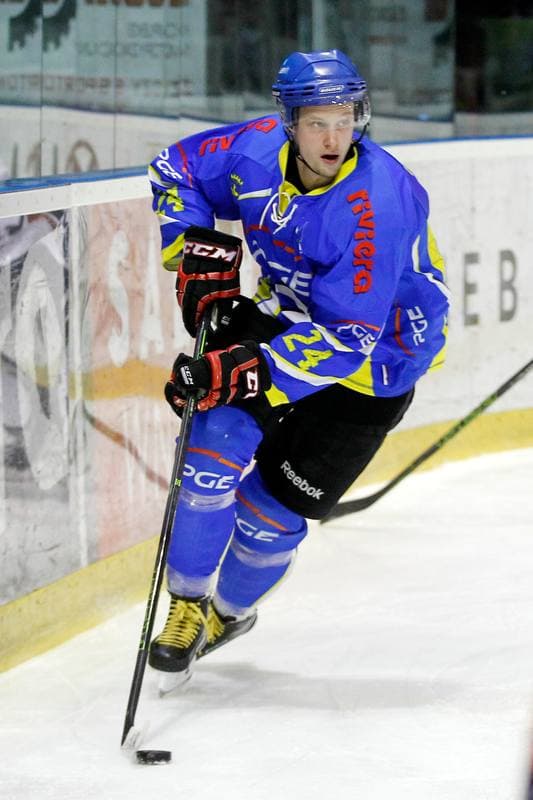 Ice Hockey. Polska Hokej Liga. GKS Tychy - Orlik Opole. 13.01.2017