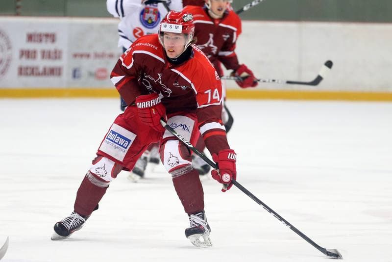 Ice Hockey. WSM Liga. HC Frydek-Mistek - HC Benatky nad Jizerou. 20.02.2017