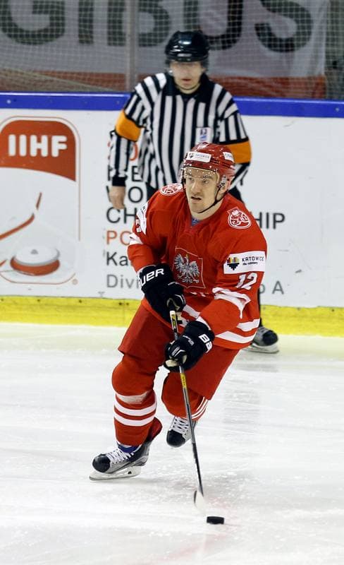 Ice Hockey. Euro Ice Hockey Challenge. Poland - Austria. 07.11.2015