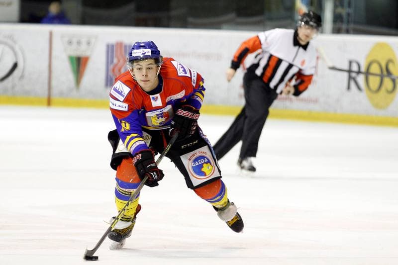 Ice Hockey. Polska Hokej Liga. GKS Tychy - Podhale Nowy Targ. 29.01.2016