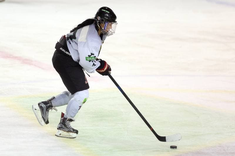 Ice Hockey. PLHK. Naprzod Janow - Unia Oswiecim. 23.09.2017